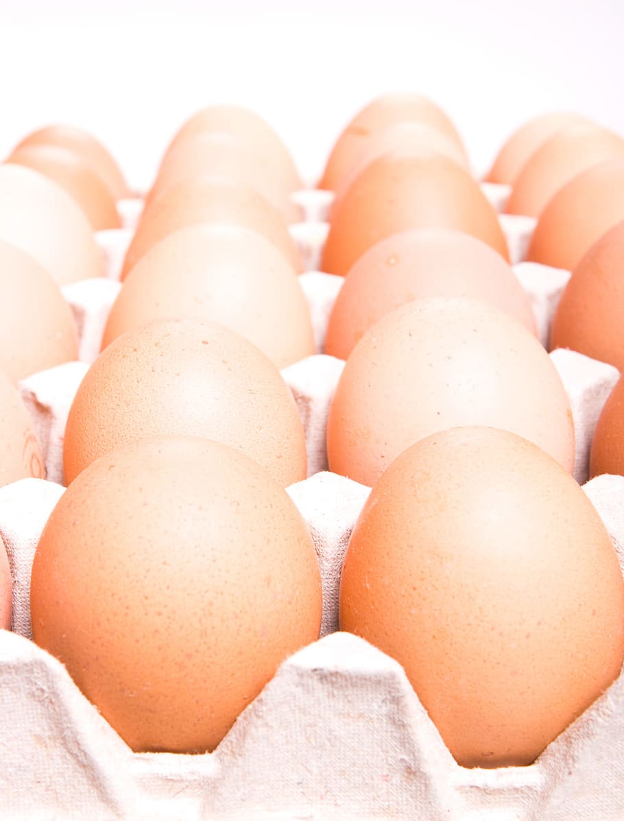 eggs, box, isolated, protein, food, brown, above, raw, package