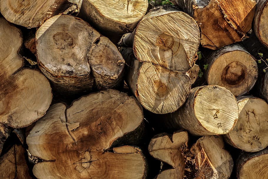 trees, wood, log, timber, firewood, wood - material, stack HD wallpaper
