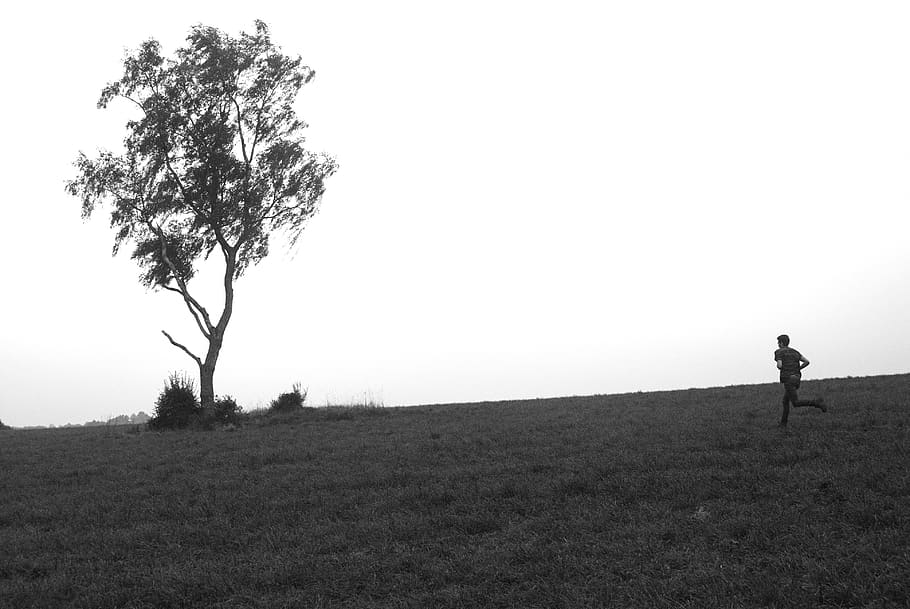 tree, person, people, jogging, meadow, grass, black and white HD wallpaper