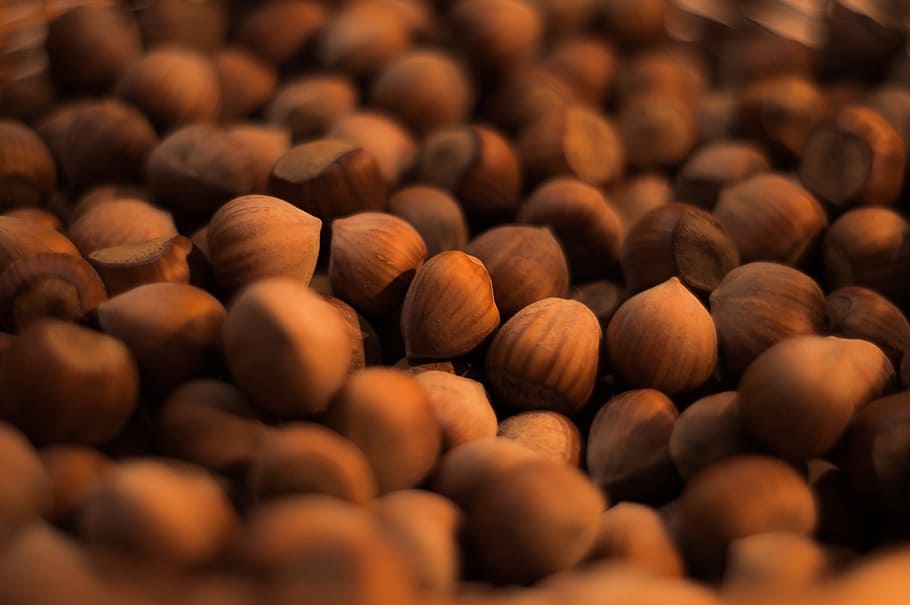 hazelnuts, food, food and drink, large group of objects, healthy eating HD wallpaper