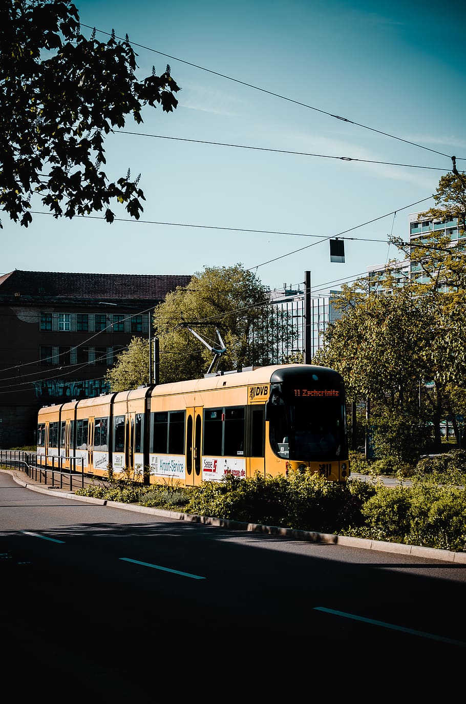 yellow train between trees, transportation, mode of transportation HD wallpaper
