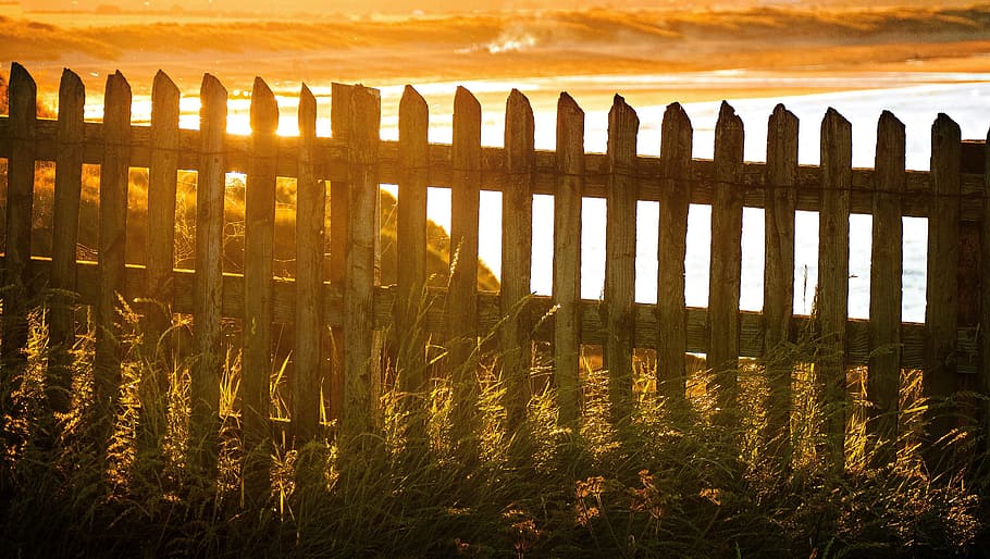 Brown Wooden Fence Near Body of Water, beach, blur, dawn, dusk HD wallpaper