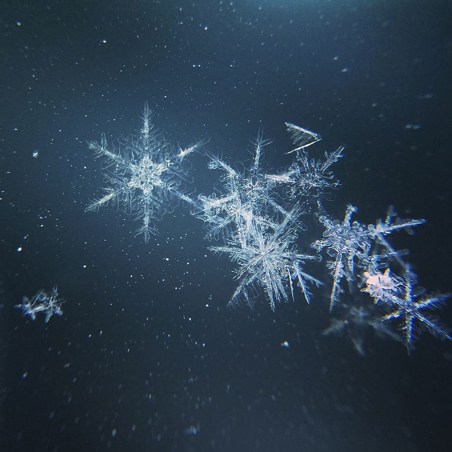 snowflakes view, cold temperature, winter, no people, nature HD wallpaper