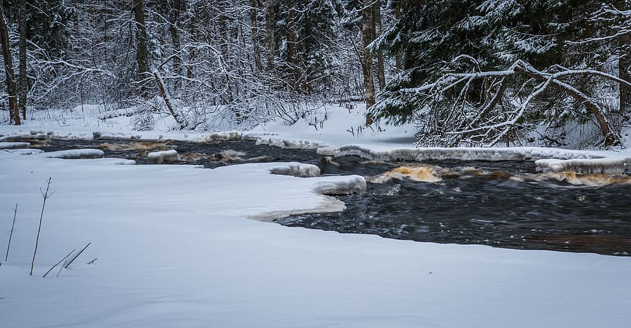 snow, winter, river, ice, forest, trees, snowdrift, cold temperature HD wallpaper