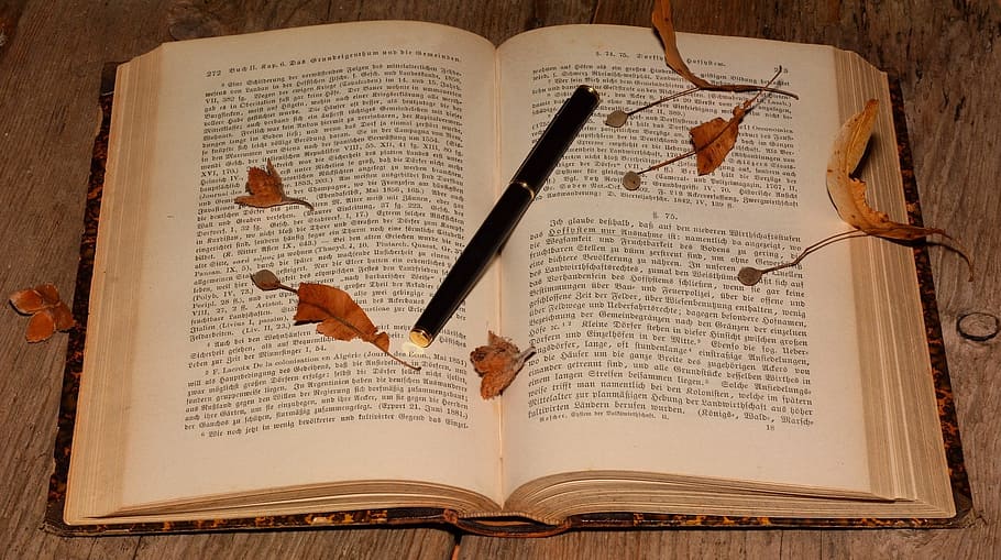 book, paper, read, study, novel, knowledge, work, publication HD wallpaper