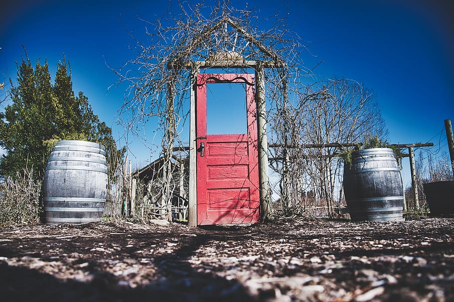red half lite 3-panel door, sky, day, nature, no people, tree HD wallpaper