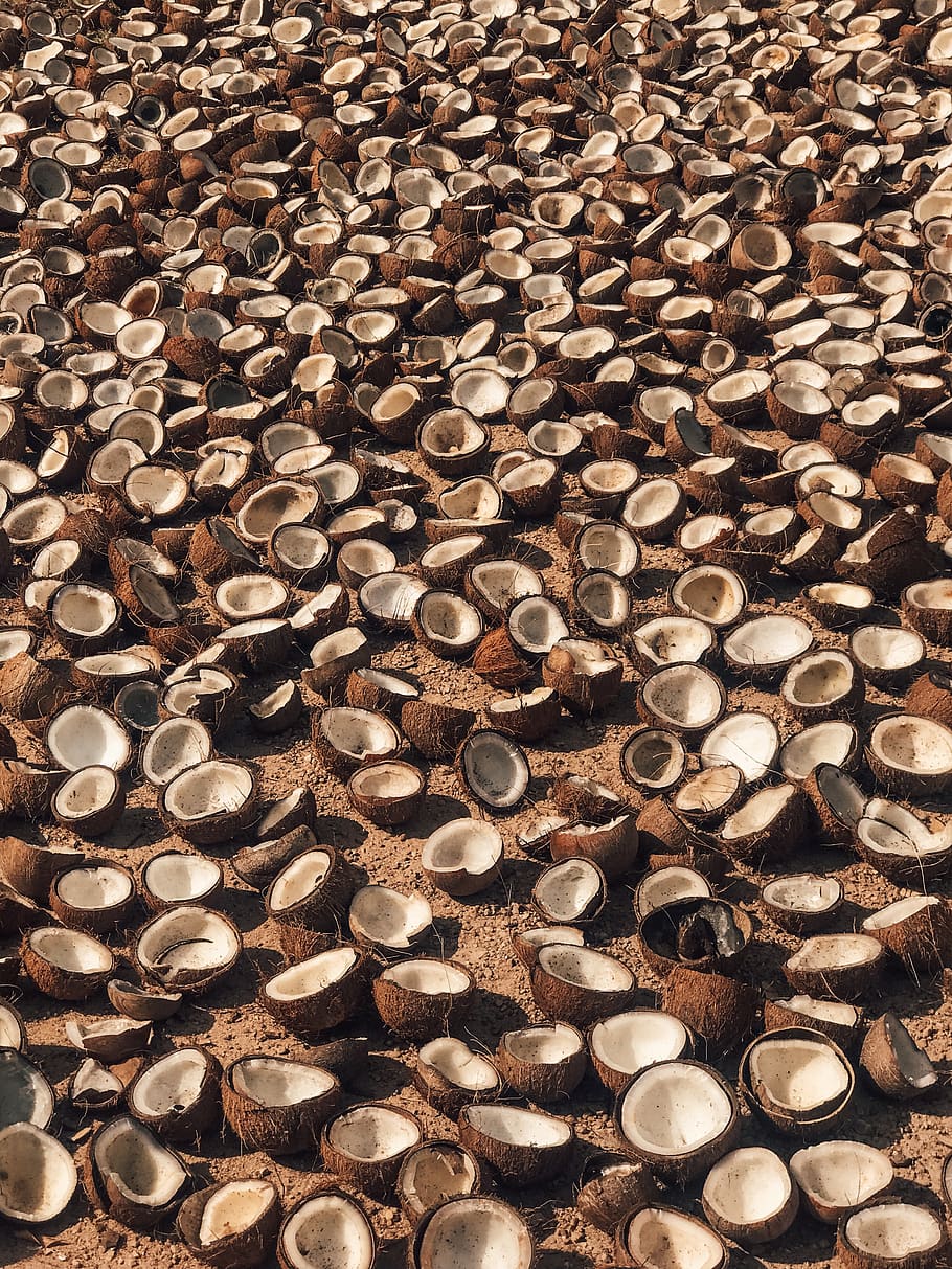 coconut shells, plant, vegetable, food, fruit, rug, asphalt, tarmac HD wallpaper
