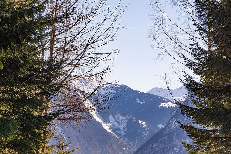 outlook, winter, mountains, trees, sky, nature, landscape, of course HD wallpaper