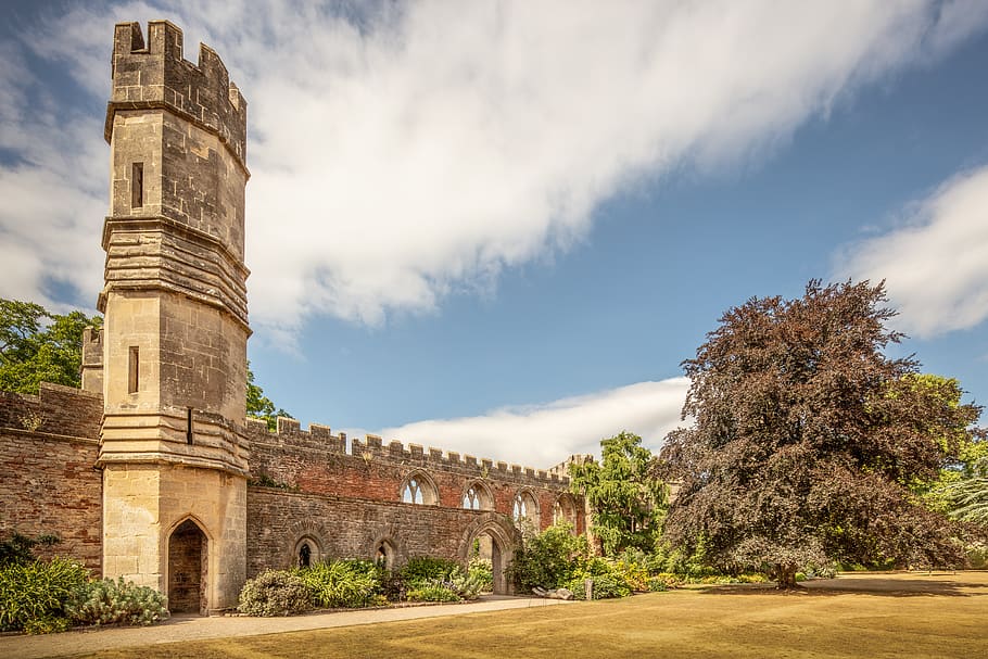castle beside tree under cloudy blue sky, built structure, architecture HD wallpaper
