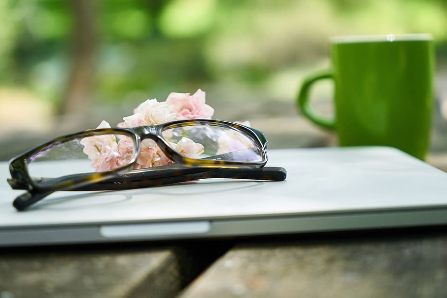 laptop, flower, eyewear, computer, the work, technology, contact HD wallpaper