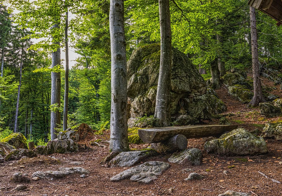 Forest, bavarian forest, bench, environment, rocks, trees, woods HD wallpaper