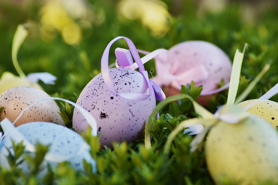 easter, egg, color, holiday, cant, spring, nature, greeting card HD wallpaper