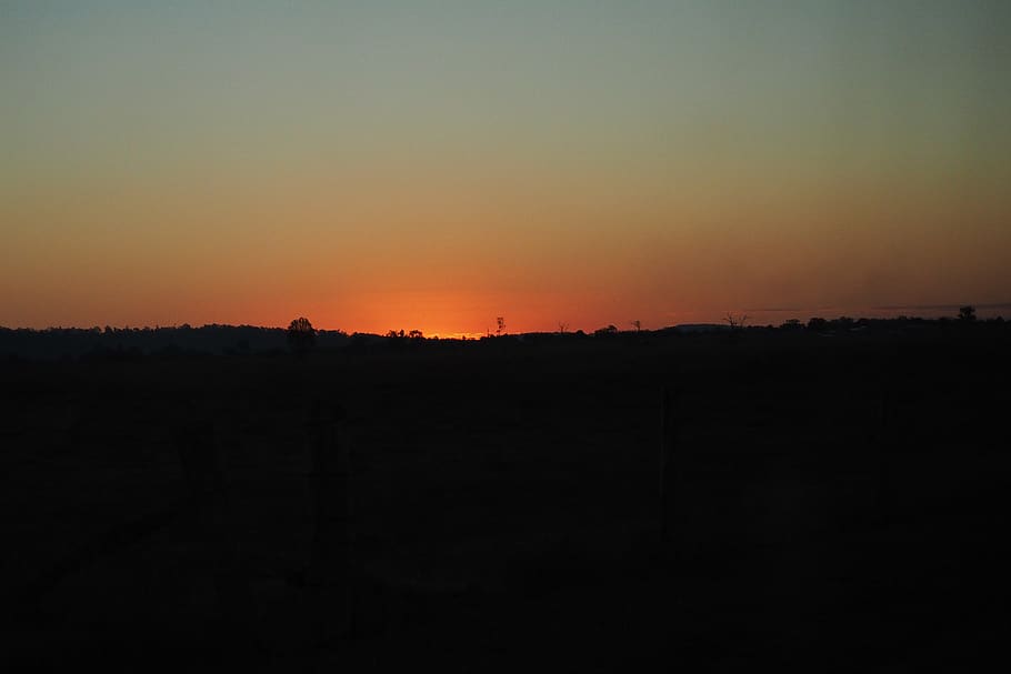 sunset, forest, australia, rural, sky, silhouette, orange color HD wallpaper