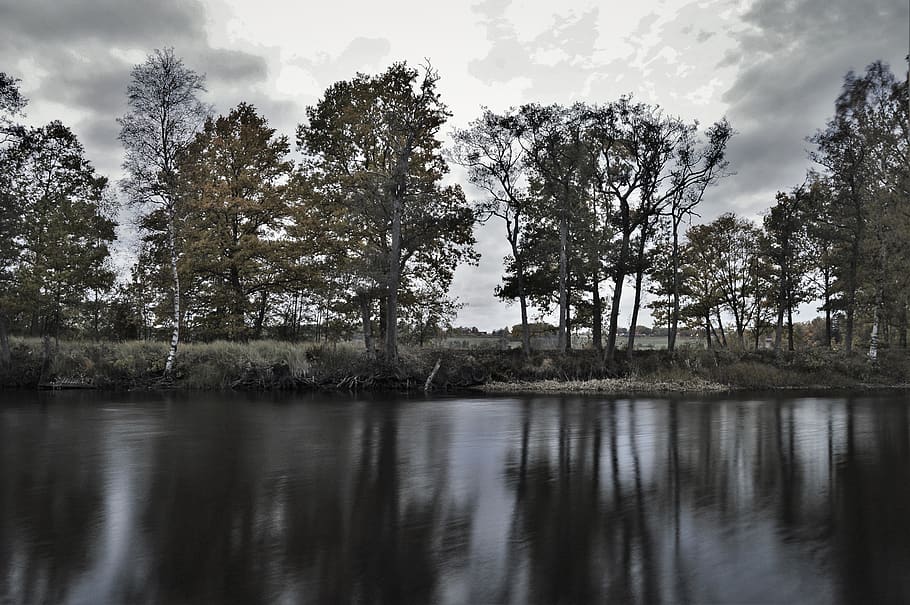 sweden, trees, lake, fall, autumn, reflection, plant, water HD wallpaper