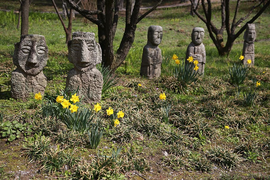 narcissus, spring, plants, garden, nature, yellow, rubble, statue, HD wallpaper
