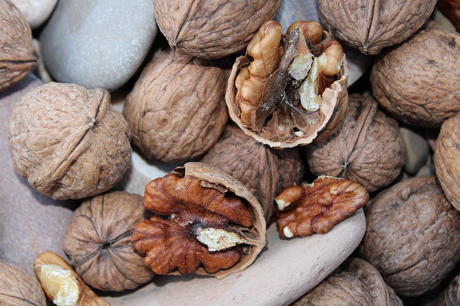 walnut, brown, fruit bowl, appetizer, delicious, healthy, natural product HD wallpaper