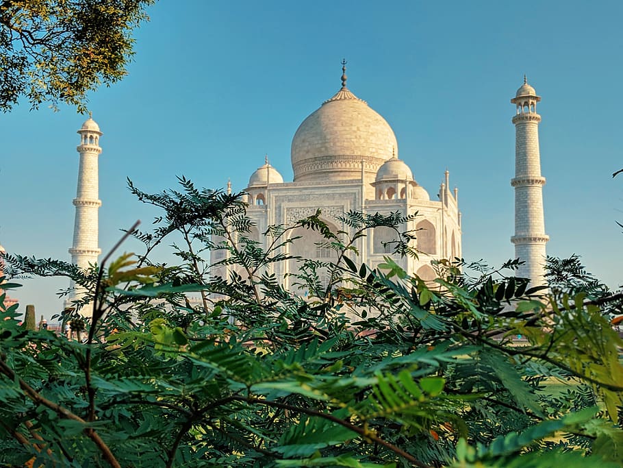 building, dome, mosque, lighthouse, tower, beacon, plant, spire HD wallpaper