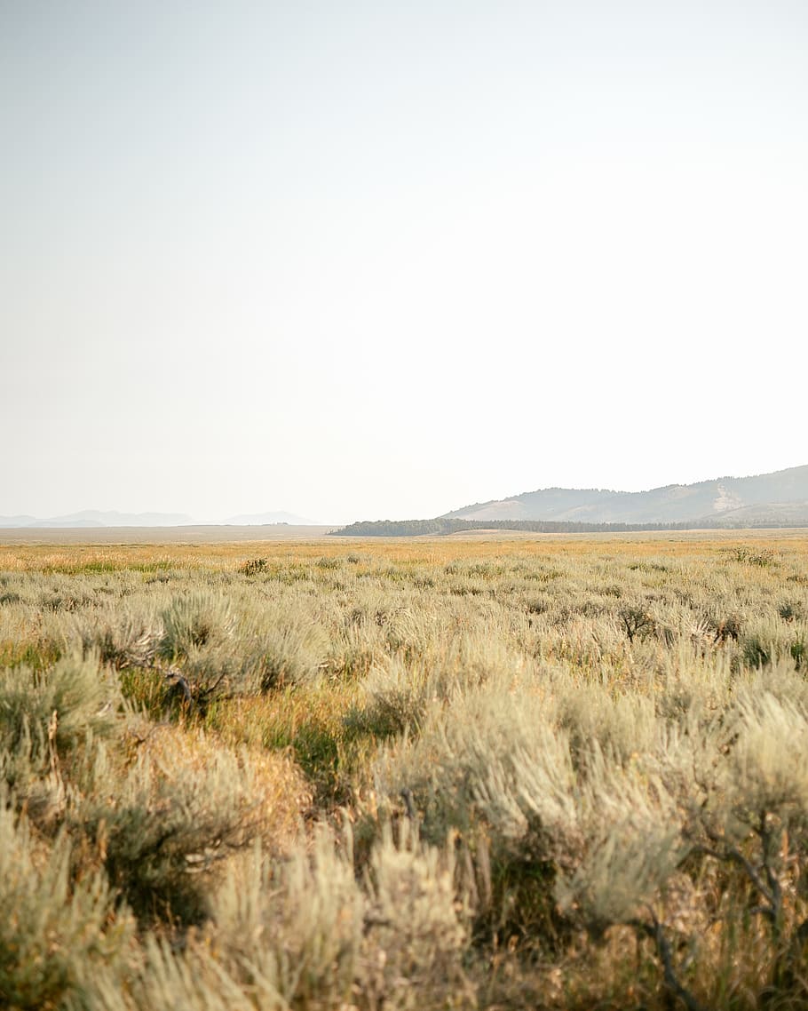 united states, jackson, landscape, environment, sky, scenics - nature HD wallpaper