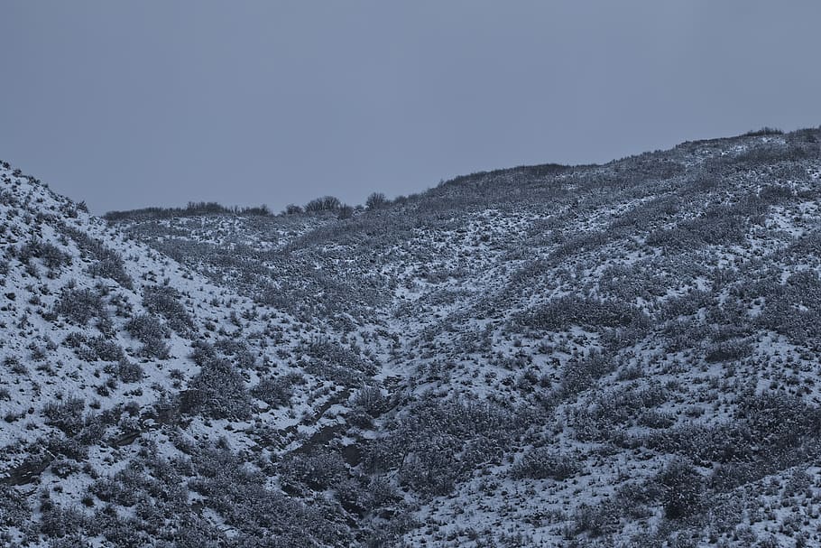 snow, snowy, winter, cold, nature, wintry, landscape, white HD wallpaper