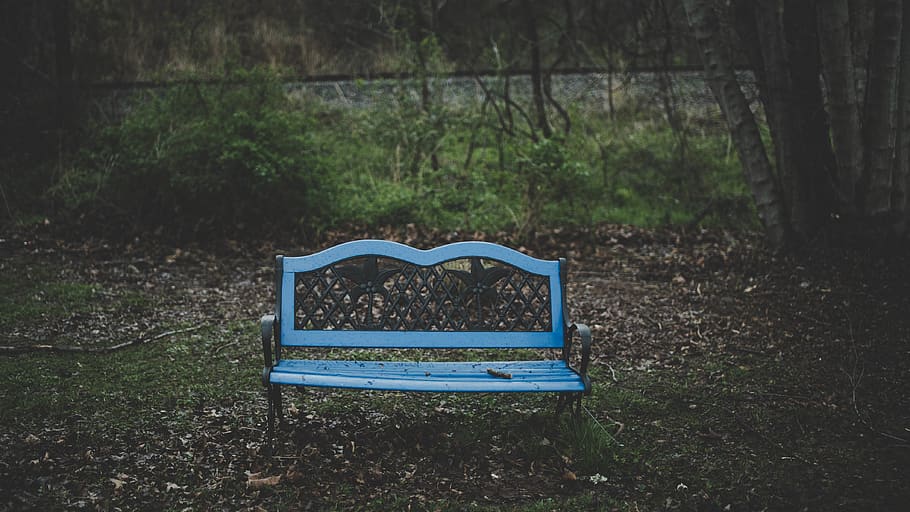 bench, blue, leaves, wet, rainy, trees, branches, seat, plant HD wallpaper