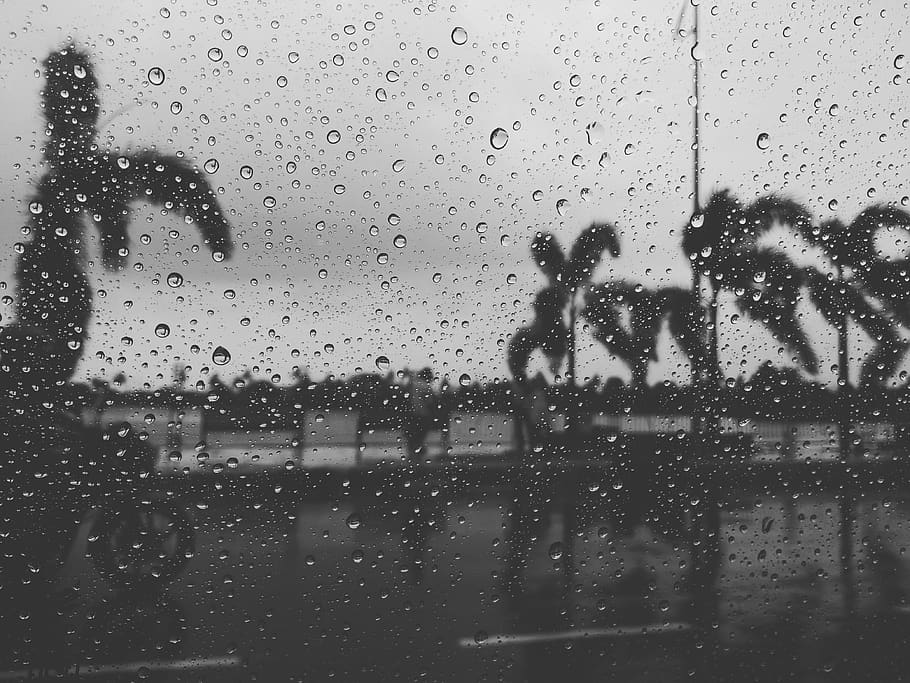 Grayscale Photography of Trees, black-and-white, glass, pattern HD wallpaper