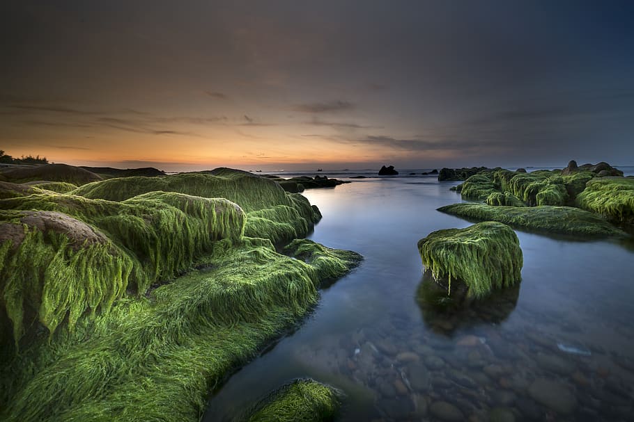 View of River With Rock Covered With Green Moss, beach, boulders HD wallpaper