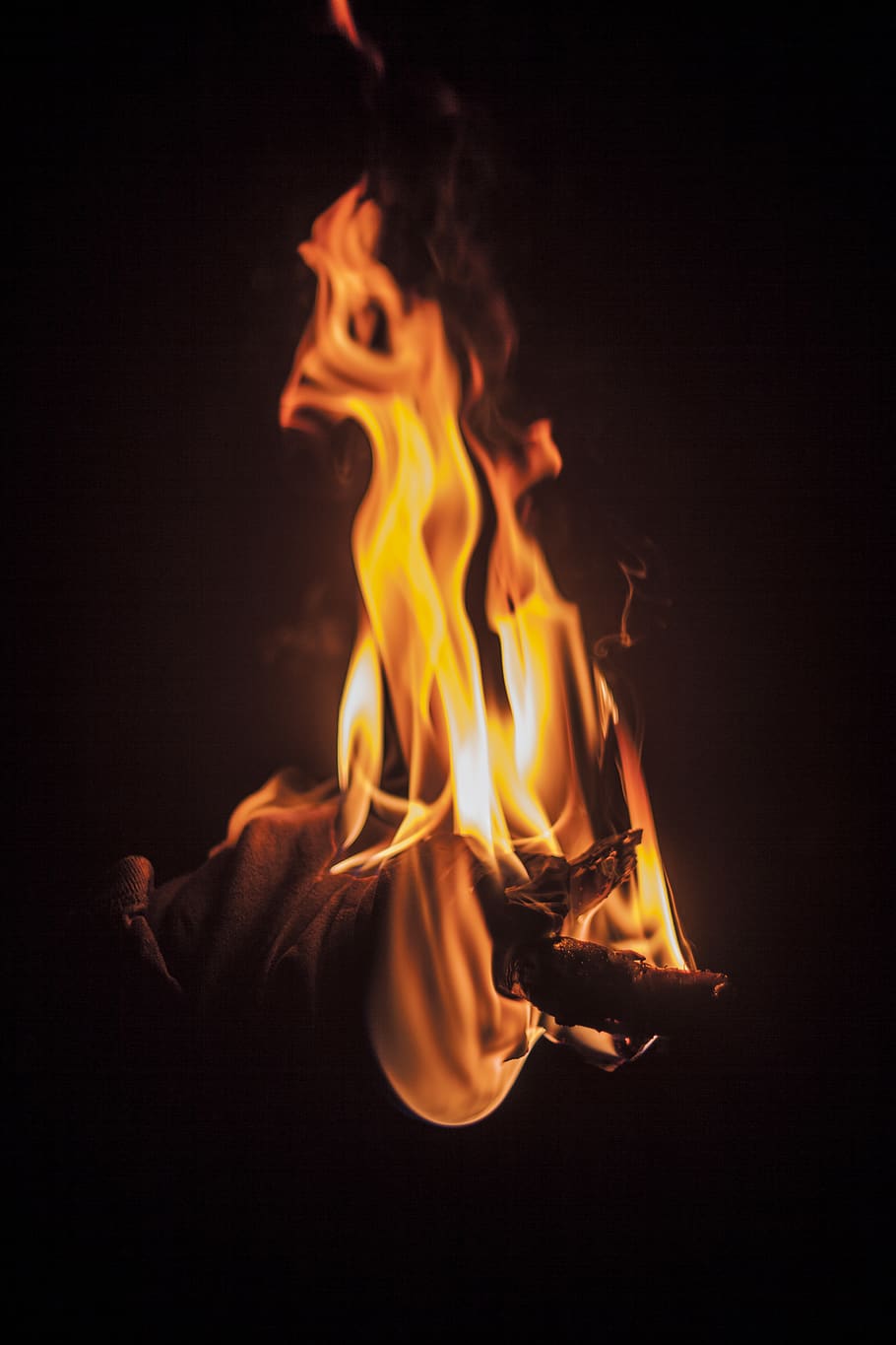 Burned Wood Branches, burning, burnt, close-up view, dark, fire HD wallpaper