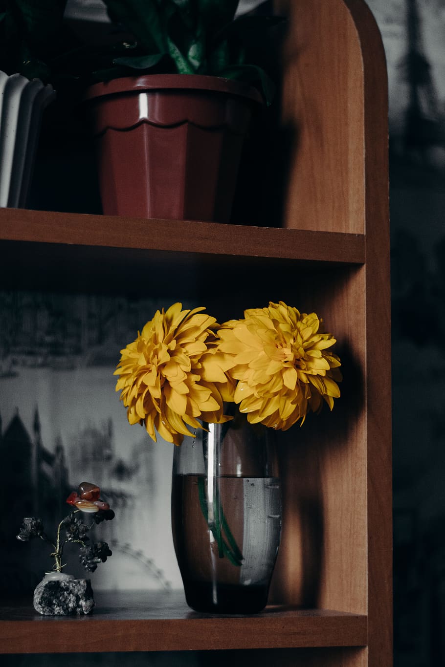 Yellow Petaled Flowers On Clear Glass Vase, bloom, blossom, container HD wallpaper