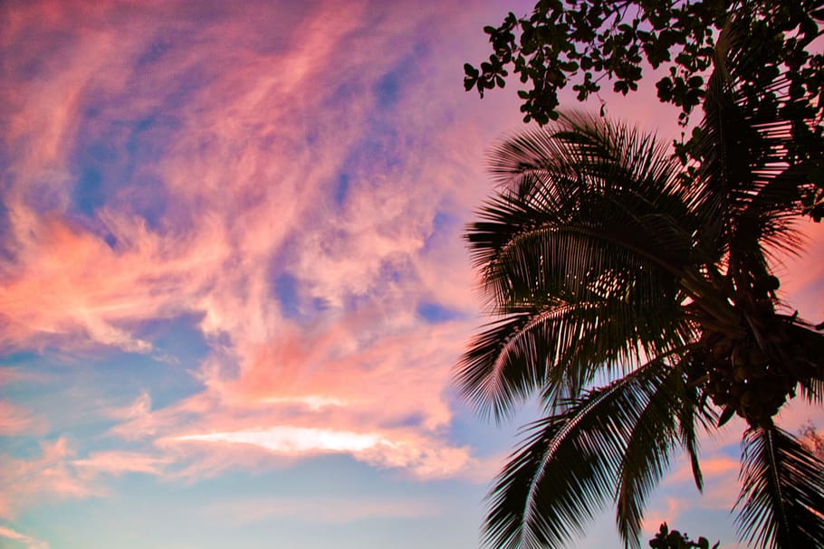nature, sunset, the sun, sky, summer, palma, thailand, krabi HD wallpaper