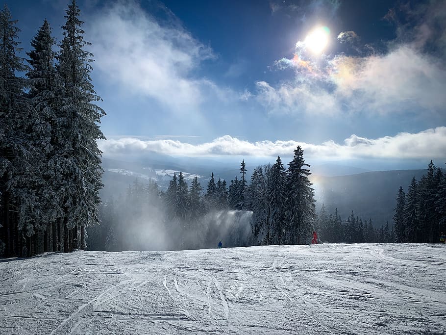 mountain, ski, piste, winter, sunny day, tree, cold temperature HD wallpaper
