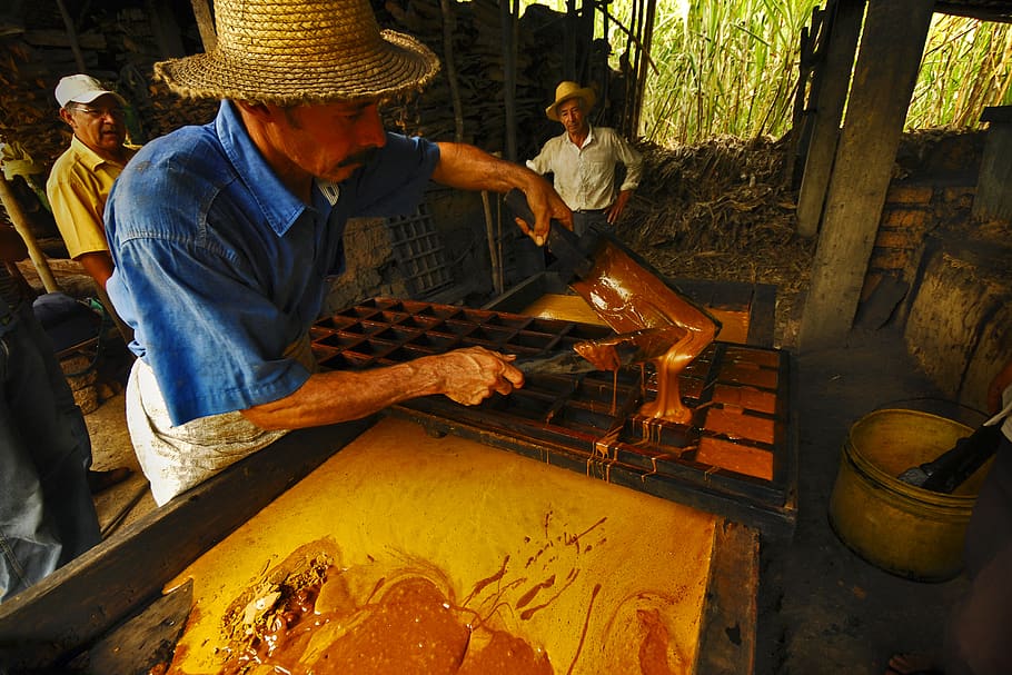 ecuador, pinas, dulzor, miel, panela, molienda, gente, artesanal HD wallpaper