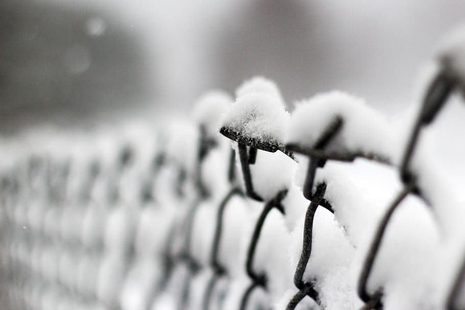 fence, snow, winter, cold, cold temperature, selective focus HD wallpaper