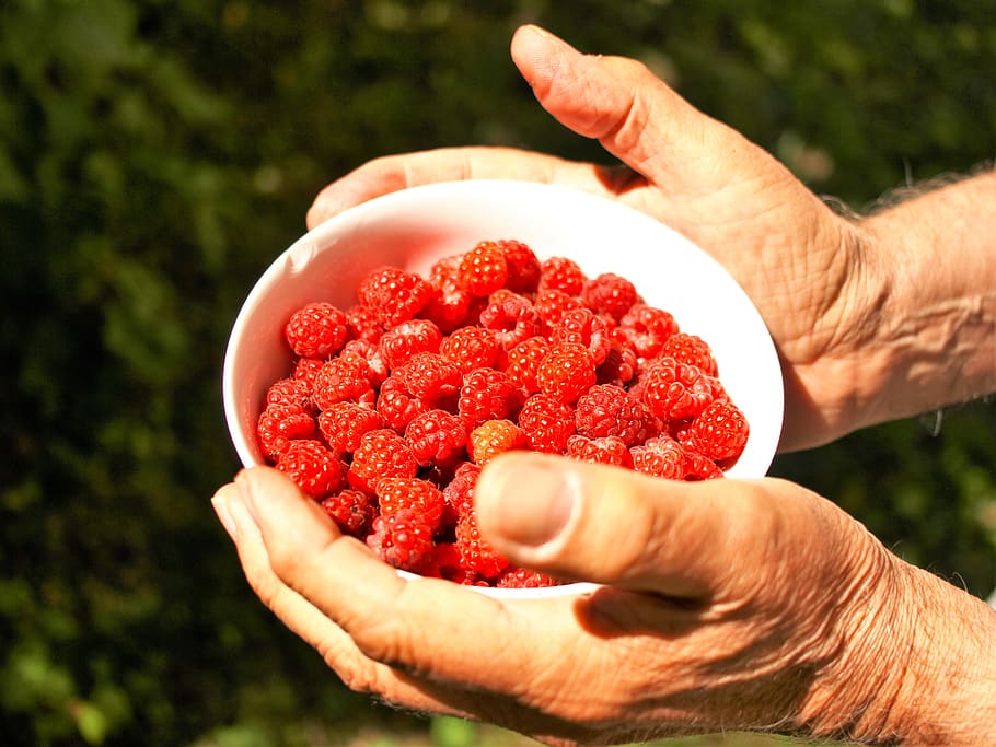 fruits, hand, human hand, food and drink, holding, red, human body part HD wallpaper