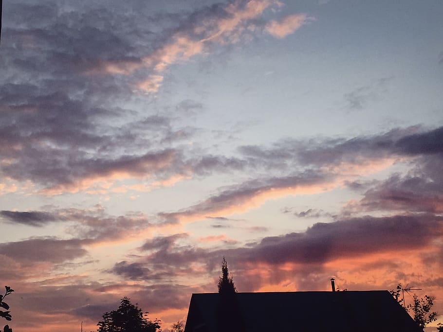 sky, purple, forest, sunset, cloud - sky, architecture, built structure HD wallpaper