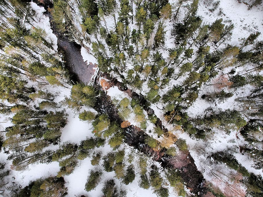 aerial view of green trees, mountain, river, frozen, drone, wallpaper hd HD wallpaper