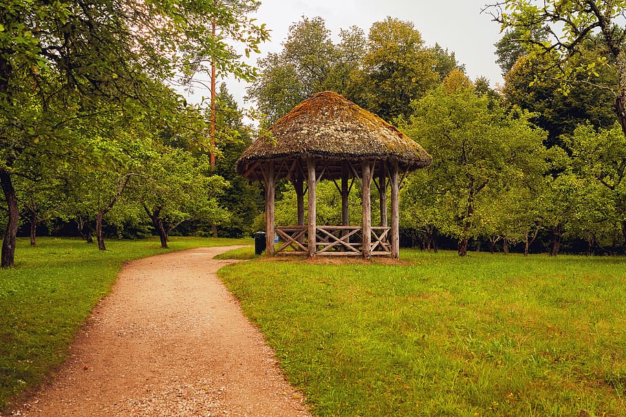 gazebo, landscape, path, grass, autumn, trees, pushkin places HD wallpaper