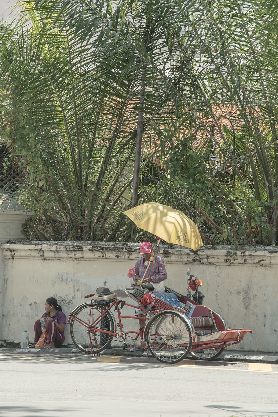 malaysia, george town, bicycle, outdoor, umbrella, sun, shadow, HD wallpaper