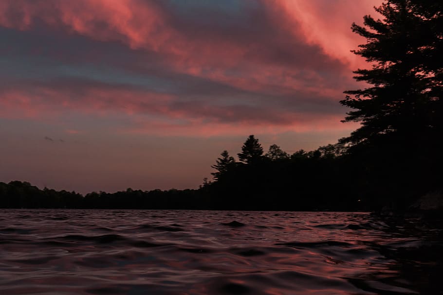 canada, parry sound, trees, sunset, clouds, black, dark, light HD wallpaper