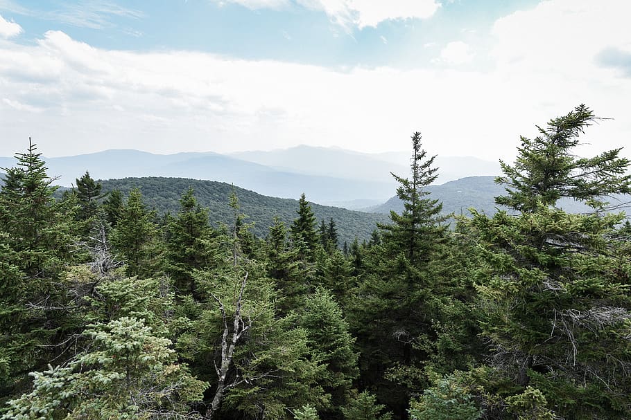 canada, sutton, mont sutton, green, landscape, vermont, jay peak HD wallpaper