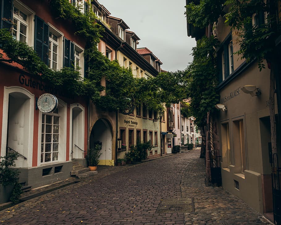 germany, freiburg, plants, building, sky, blackforrest, building exterior HD wallpaper