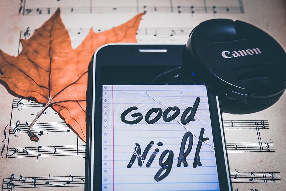 night, sleep, getting good, lens, note, paper, tree leaves HD wallpaper