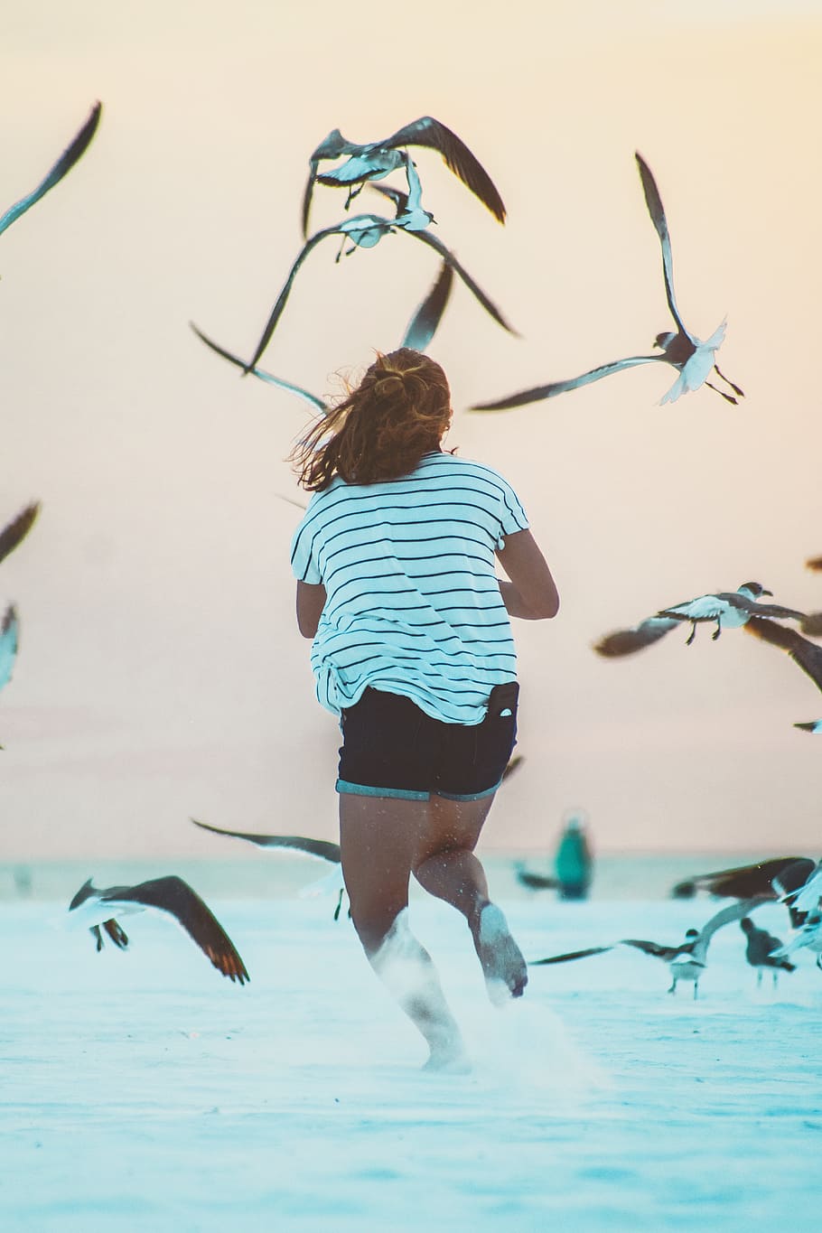running woman surrounded by birds at daytime, stripe, sand, seagull HD wallpaper