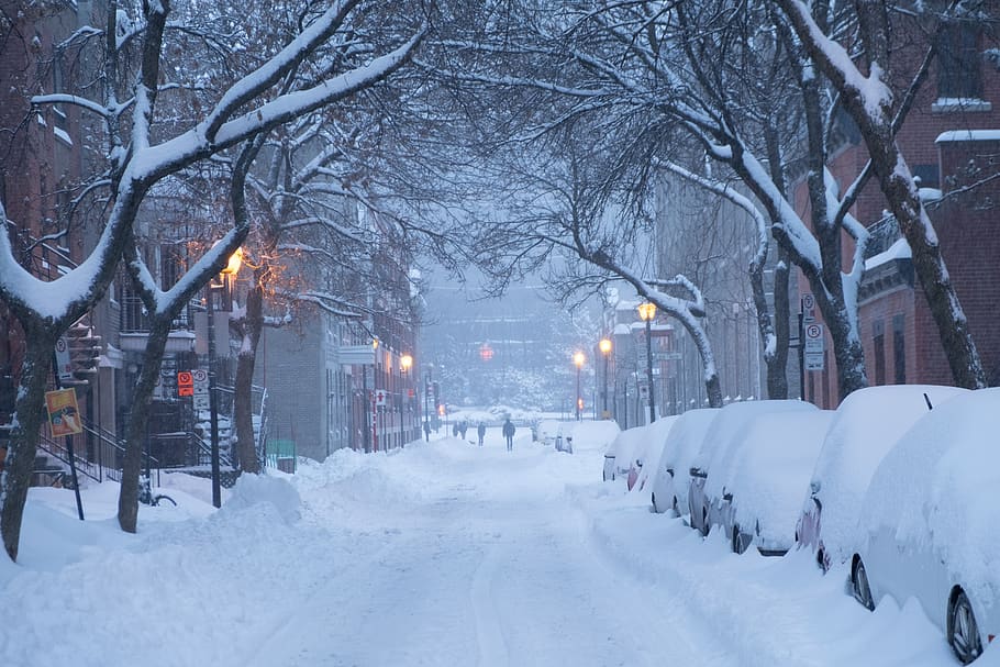 snow covers cars parked on road side, nature, outdoors, winter, HD wallpaper