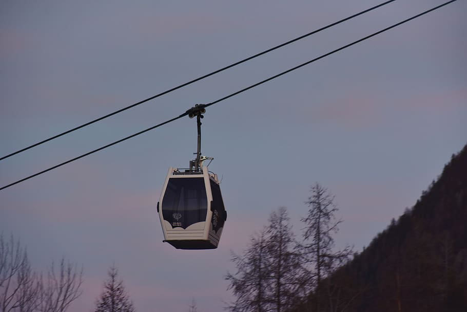 White And Black Cable Car, cables, ride, wires, tree, sky, overhead cable car HD wallpaper