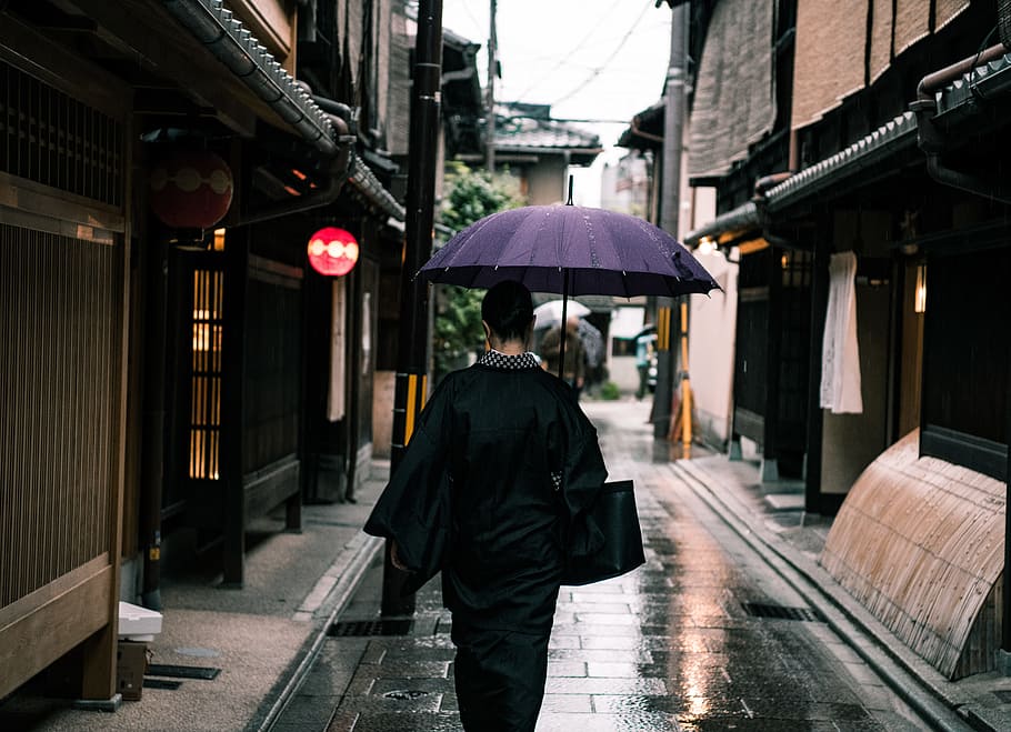 Woman Using Purple Umbrella Walking in the Street, architecture HD wallpaper