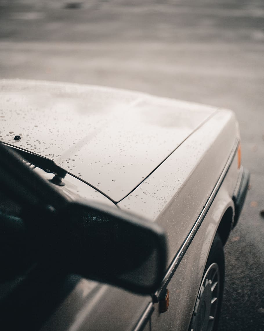 white vehicle hood, transportation, motor vehicle, mode of transportation HD wallpaper