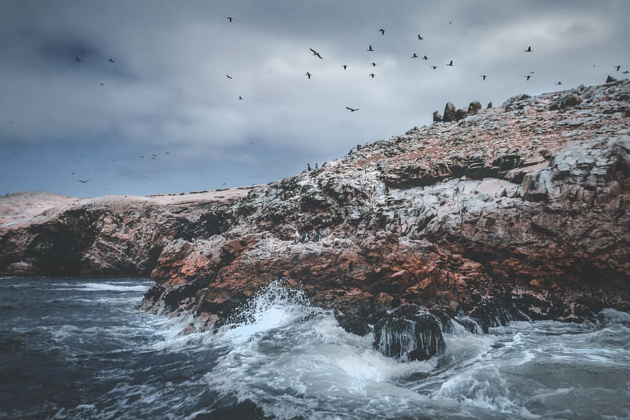 rock formation with sea waves photography, water, splash, bird HD wallpaper