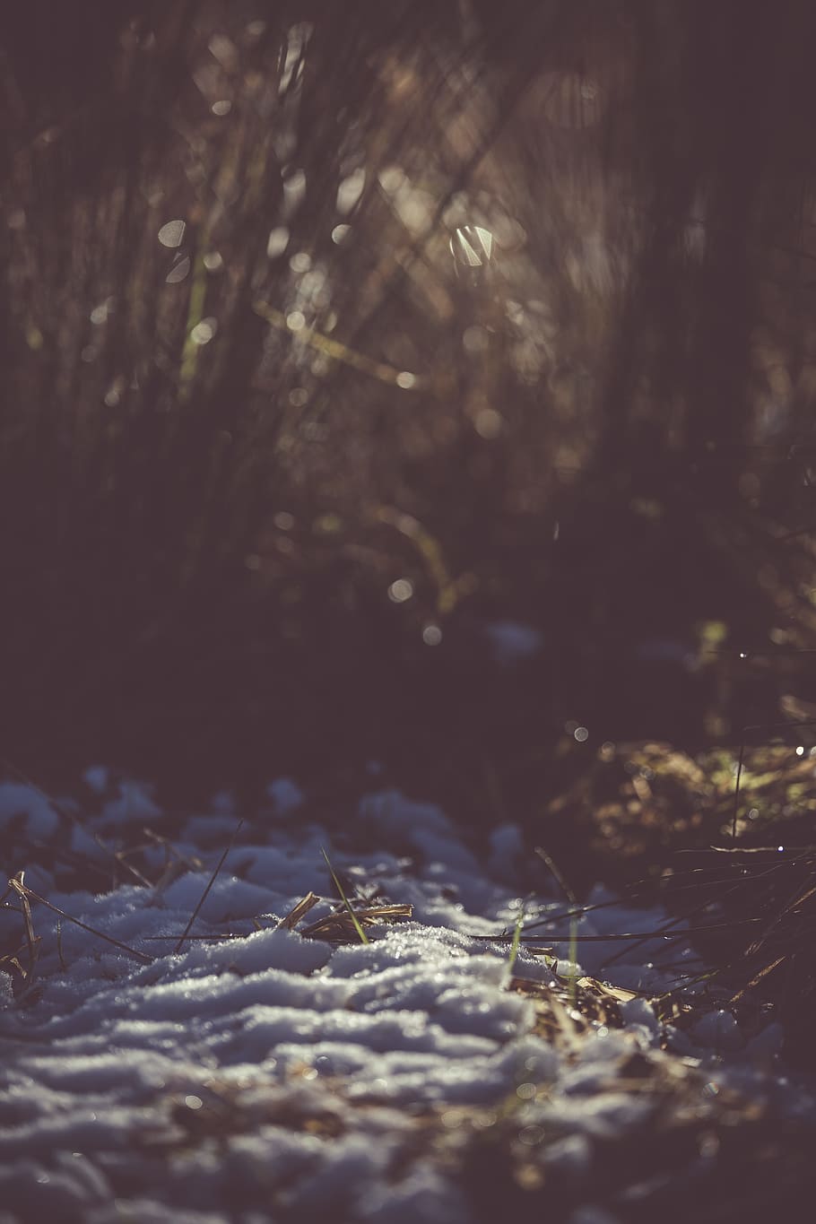 Snow On Ground, cold, environment, frost, grass, soil, selective focus