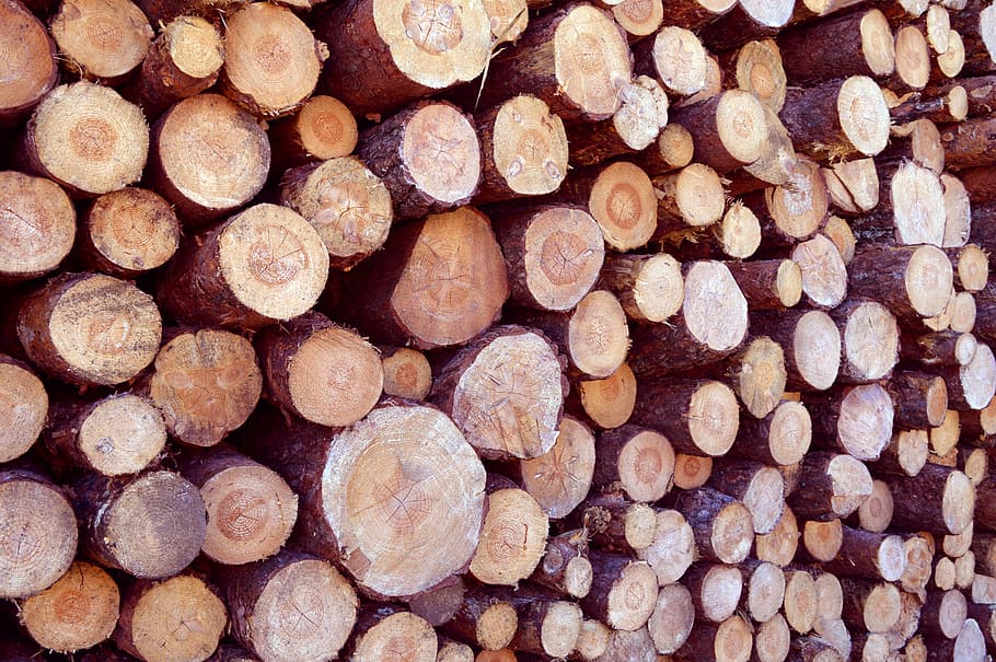 wood, trunk, forest, trees, texture, stack, lena, woodpile HD wallpaper