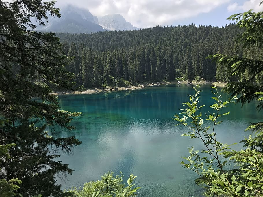 Landscape Photography of Body of Water and Trees, blue water HD wallpaper
